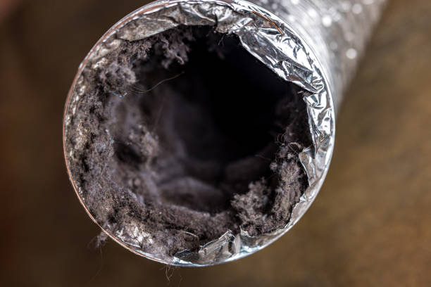 Best Air Duct Cleaning Near Me  in Kenmore, WA